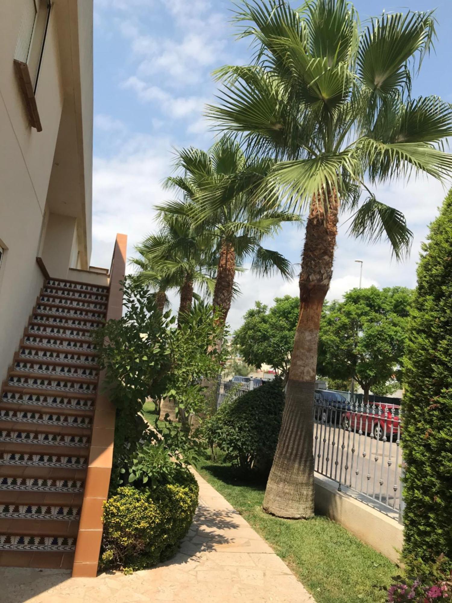 Apartamento Nº 13 Urb. Cala Josep Вінарос Екстер'єр фото